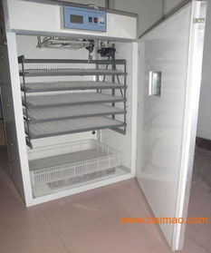 湖南土雞孵化設備 小型孵化機 永州土雞孵化設備,湖南土雞孵化設備 小型孵化機 永州土雞孵化設備生產廠家,湖南土雞孵化設備 小型孵化機 永州土雞孵化設備價格