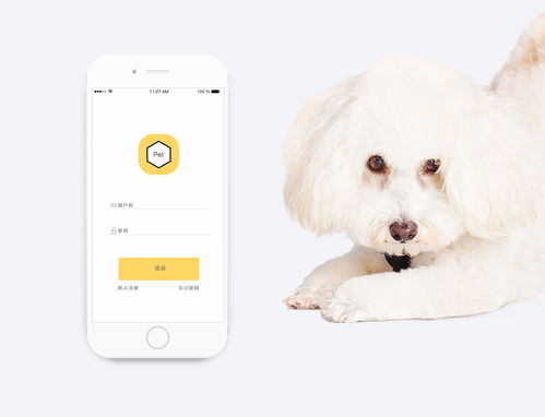 一款寵物用品app