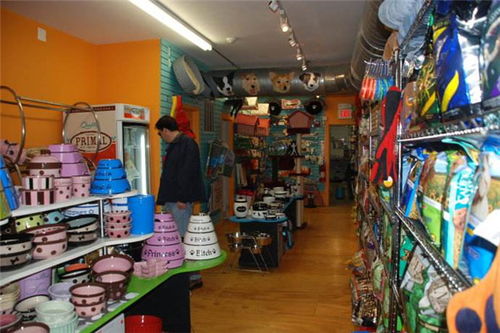 寵物用品超市加盟費解析 總投資27.89萬元，加盟費如何構成？